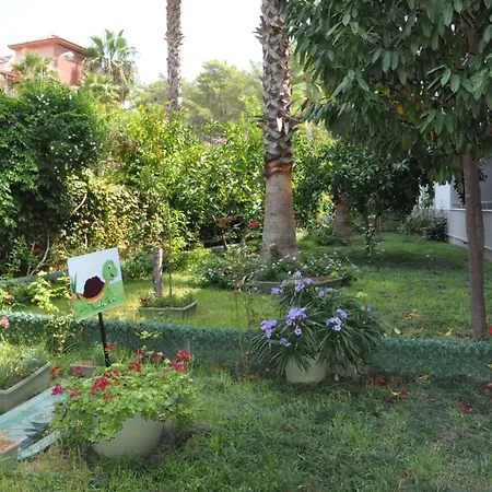 Grand Viking 4* Κεμέρ