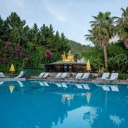 Grand Viking 4*