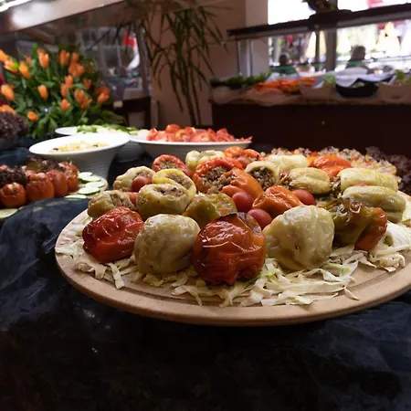 Otel Grand Viking