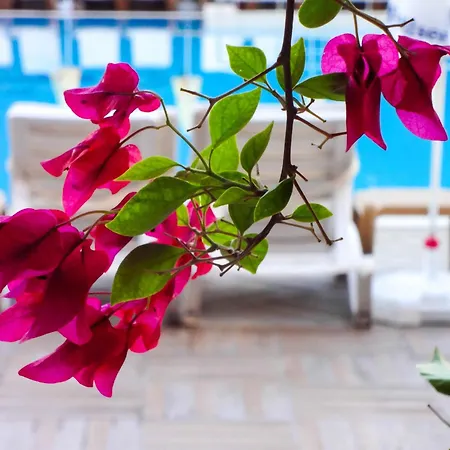 Otel Grand Viking 4*