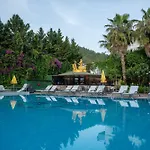 Grand Viking 4*