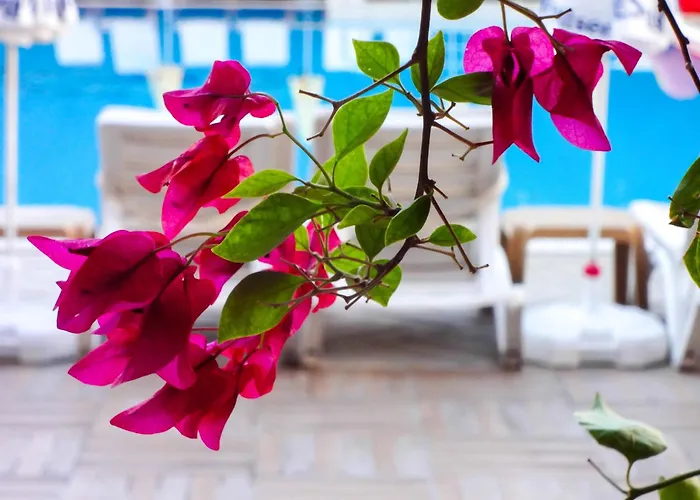 Hotel Grand Viking 4*